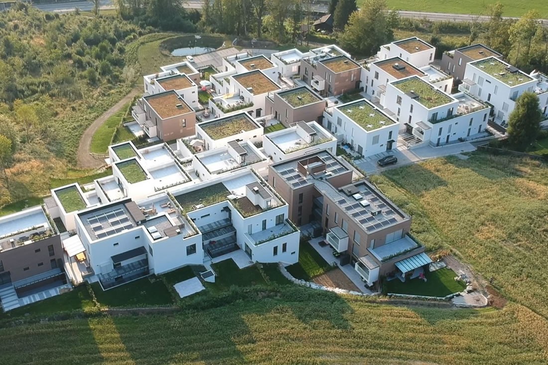 Grünbedachung in Guggenthal